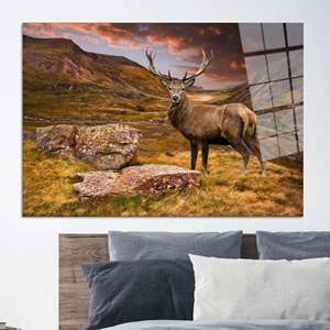 Tableau sur toile imprimé élégant : design graphique de cornes de cerf majestueuses, ART SUR VERRE TÉRMÉRISÉ - Product Image 1