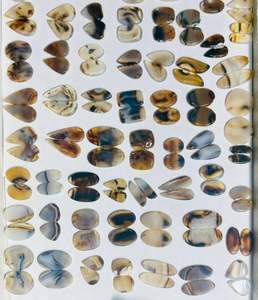 Alta calidad de Grado Superior InfinityStones Natural Montana ágata cabujón corte par de piedras preciosas sueltas de Rajasthan 3-6mm - Product Image 1