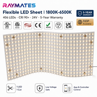 Feuille LED flexible RAYMATES UL ETL 2700K ultra-mince, feuille de rétroéclairage LED 24V pour plafond, escalier et îlot