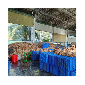 เปลือกมะพร้าวดิบจากเวียดนามแบบยั่งยืนสำหรับไบโอชาร์เครื่องปั้นดินเผาและของตกแต่งบ้าน - Product Image 6