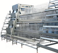 Cages à poulets équipées de dispositifs automatisés peuvent accueillir des milliers de poulets.