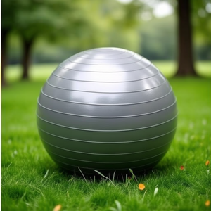 TOGU <b>ABS</b> Non-Rolling <b>Exercise</b> Ball 55cm Size M Silver - Product Image 3