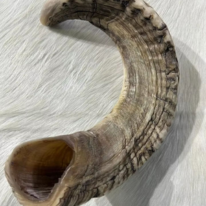 เขาควายขัดเงาคุณภาพสูง ชอฟาร์หลากหลายขนาด งานฝีมือจากธรรมชาติ ผลิตโดยครีเซนต์ คราฟต์ส - Product Image 3