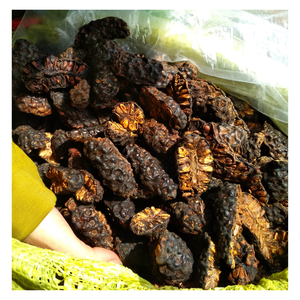 100% Naturel Séché Noni Fruit Meilleur Prix En Gros Morinda Citrifolia pour Detox Thé En Vrac Emballé et AD Morceaux Séchés - Product Image 1