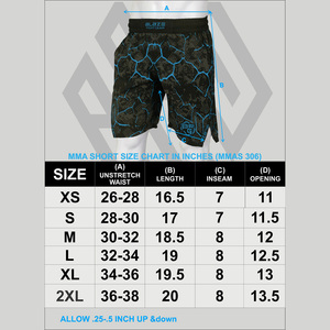 Blaze Fight Gear High Street Men's MMA Shorts Sublimación Impreso BJJ Boxing & Martial Arts Wear Low MOQ - Product Image 5
