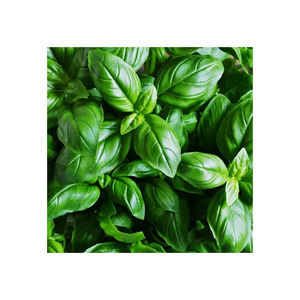 Lo más seguro es que 100% N, lo más seguro y seguro, ulk Xport con Abel utizado - Product Image 1