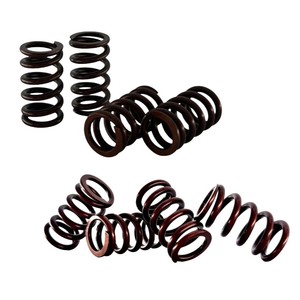 Ressort de soupape en acier inoxydable résistant à la chaleur pour moteur de moto KAO Cygnus - Product Image 1