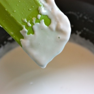 Lait de coco de qualité supérieure congelé | Goût riche, sans OGM, végétalien biologique, exportation en vrac du Vietnam - Product Image 5