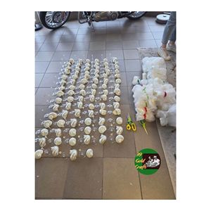 HANDMADE SEASHELL <b>CUP</b> FROM VIETNAM OCEAN INSPIRED NATURAL DRINKWARE FOR BEACH STYLE DECOR AND TABLE SETTING - Product Image 5