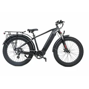 Snow Ride ฮับด้านหลังรถมอเตอร์ไซค์,36V 250W ยางรถครูซไฟฟ้าสำหรับผู้ใหญ่