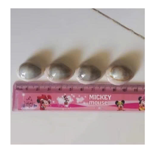 Cowrie Shell en couleurs naturelles assorties pour les projets d'artisanat et de design de 99 Gold Data Vietnam Cowrie Shell - Product Image 2