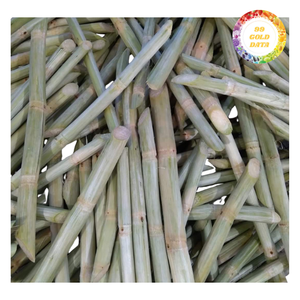 Canne à sucre surgelée à haute teneur en sucre, traitée proprement et congelée rapidement pour l'exportation et les commandes en gros - Product Image 5