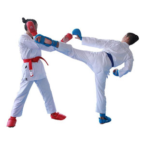 Gants de karaté de sparring avec protection du pouce Mitaines de karaté de couleur bleue Équipement de protection du Taekwondo Gants de protection des arts martiaux - Product Image 4