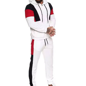 Venta al por mayor de chándales de alta calidad de los hombres de manga larga de los hombres ropa deportiva chándal de los hombres Unisex de gran tamaño de peso pesado chándal - Product Image 6