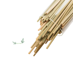 Venta al por mayor Top Trending 2025 Pajitas para batidos Jumbo, Hierba desechable Pajita de batido de boca ancha grande, Pajitas de hierba de té Boba - Product Image 1