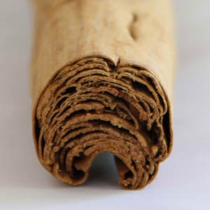 ออลสไปซ์สติกสดขนาด5นิ้วของแท้เกรด H1 100% ส่งตรงจากศรีลังกา - Product Image 1