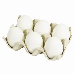 Best Factory Price of Natural White / Brown Shell Fresh Table Chicken Eggs Available In Large Quantity