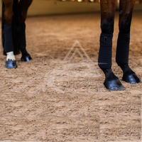 Polo Polar de alta calidad, el mejor diseño, venta al por mayor, vendas de lana de caballo hechas con Material prémium