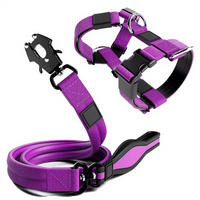Collier et laisse tactiques pour chien, résistants, testés sous pression, avec boucle en métal classique, rembourrés en mousse solide, doublés en néoprène, avec poignée souple