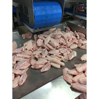 हलाल जमे हुए चिकन और मांस निर्यात