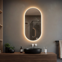 Offre Spéciale Miroir de Salle de Bain Intelligent LED Oval Rétroéclairé Sans Cadre, Cadre en Aluminium Fin de 16 mm, Interrupteur Tactile 3 Couleurs, En Stock