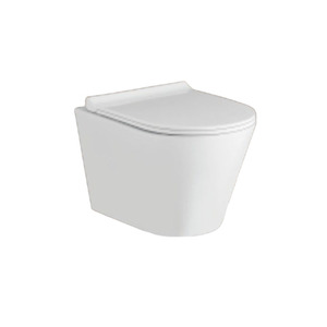 Su marca Inodoro colgado en la pared de cerámica Diseño elegante Todos los modelos disponibles - Product Image 2