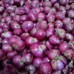 Oignon rouge en gros, frais et délicieux, légume en vrac - Product Image 1