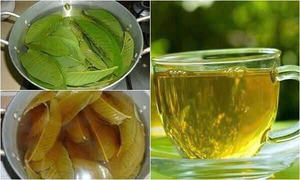 Feuilles de goyave séchées de haute qualité fabriquées au Vietnam - Product Image 6