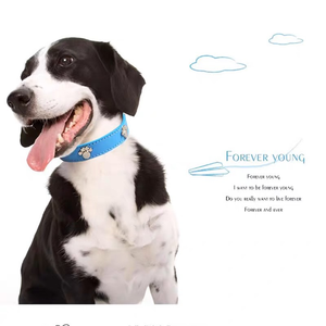 Collar colorido de cuero PU para perros y gatos, cómodo correa para el cuello sin tirones con tachuelas de aleación ajustables para mascotas pequeñas y medianas - Product Image 2