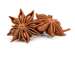 Anís estrellado natural 100% a granel | Exportación al por mayor de La India | Especias de alta calidad - Product Image 1