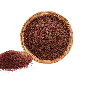 Berro | Artículo culinario botánico | Producción agrícola sostenible - Product Image 1