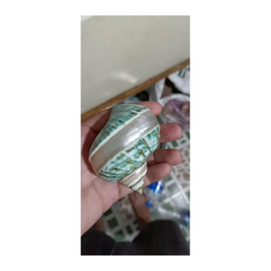 เปลือกหอยในการตกแต่งสีขาวและสีเขียวจากโรงงานเวียดนามมีข้อมูล99สีทองที่ใช้ในการตกแต่งบ้านและชุดงานฝีมือ - Product Image 1