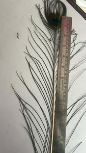 Plumas de Pavo Real Decorativas en Bruto para Manualidades, Accesorios de Disfraces, Decoración de Bodas, Accesorios de Fotografía, Fiestas y Festivales - Product Image 4