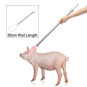 Robuste Attraper Porc Porc Ferme Équipement Porc Titulaire Porc Attrape Porc En Acier Inoxydable Porc Titulaire Catcher Zinc par pentax chirurgical - Product Image 2