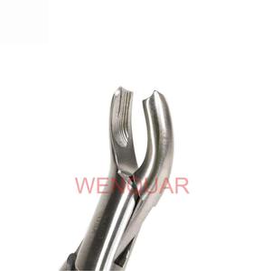 Modèle américain de haute qualité #17 pince dentaire Instruments manuels en acier inoxydable pour molaire supérieure droite - Product Image 3