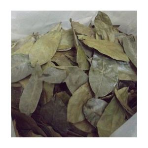 ชา Graviola/Guanabana ใบสะระแหน่แห้งออร์แกนิกบริสุทธิ์จากธรรมชาติ100% - Product Image 2