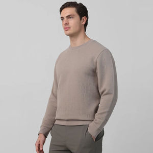 Sweat-shirt d'hiver personnalisé pour homme, 100 % coton, molleton épais, col rond, logo imprimé, design écologique à séchage rapide - Product Image 2