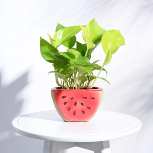 Jardinière en céramique de pastèque de 5.5 pouces de large fabriquée à la main avec trou de drainage de taille droite pour tous les pots de fleurs et jardinières de décoration intérieure - Product Image 1