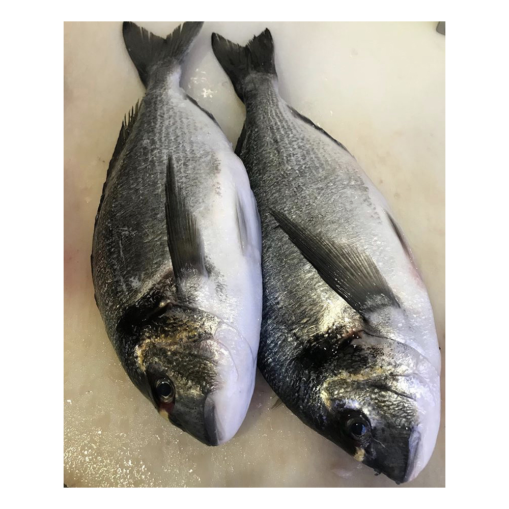 Wholesale bulk sea food delicious frozen fresh fish from Japan Hot Sale Fish Tilapia 500-800g sea bream Sea Bream Fish Frozen