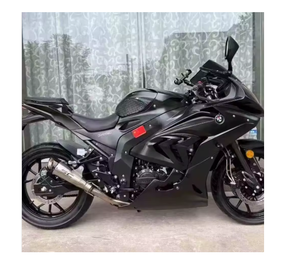 Motocicleta Deportiva BMW Twin-R de Alto Rendimiento para Carreras, Venta Rápida - Product Image 1