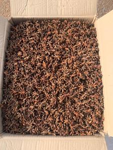 Fournisseur de premier plan du Vietnam propose des épices d'anis étoilé de qualité supérieure, mélangées, standard, pour l'exportation, séchées, prix avantageux - Product Image 5