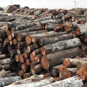 Bûches de bois de santal rouge et blanc, bois naturel rond, bois dur pour la fabrication de meubles, la sculpture artisanale, à vendre - Product Image 4