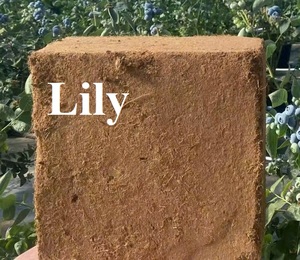 Alta calidad Coco Turb 5 Kgs bloques para exportación | Directo del fabricante/Lily - Product Image 3