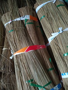 PALO DE ESCOBA DE COCO LIMPIADO DURADERO DE VIETNAM - PALM BROOMSTICK Y COCO BROOMSTICK AL MEJOR PRECIO LISTO PARA EXPORTAR - Product Image 3