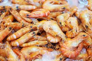 กุ้งเครย์ฟิชแอฟริกันออร์แกนิกคุณภาพสูง อบแห้งสะอาด 10 กก. สำหรับปรุงอาหาร - Product Image 1