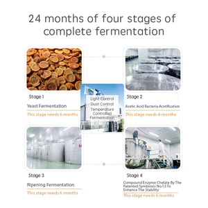Experience the Power of Ginseng: Enzyme Rich <strong>Formula</strong>