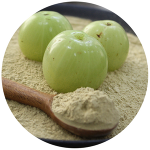 Cápsulas Amla veganas y probadas por terceros sin OGM Confíe en su cuerpo para el bienestar de las cápsulas Grenera Amla en las que puede confiar - Product Image 6