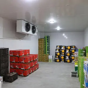 Customized Fruit Cold Storage Warehouse Cost Cold Store Machine 100 tons Cold Storage Construction Cold Storage