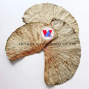 ใบบัวแห้ง2024เวียดนามเป็นมิตรกับสิ่งแวดล้อม - Product Image 5