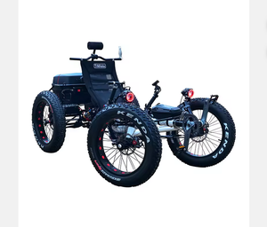 Quadricycle à pneus larges Mountain Crawl, vélo à pneus larges à 4 roues avec moteur central 48V 500W - Product Image 2